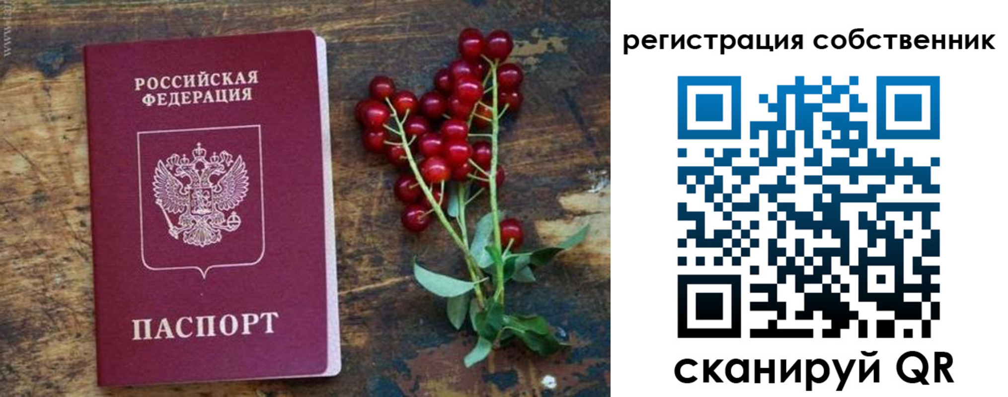 регистрация для дет. сада в Боровичах